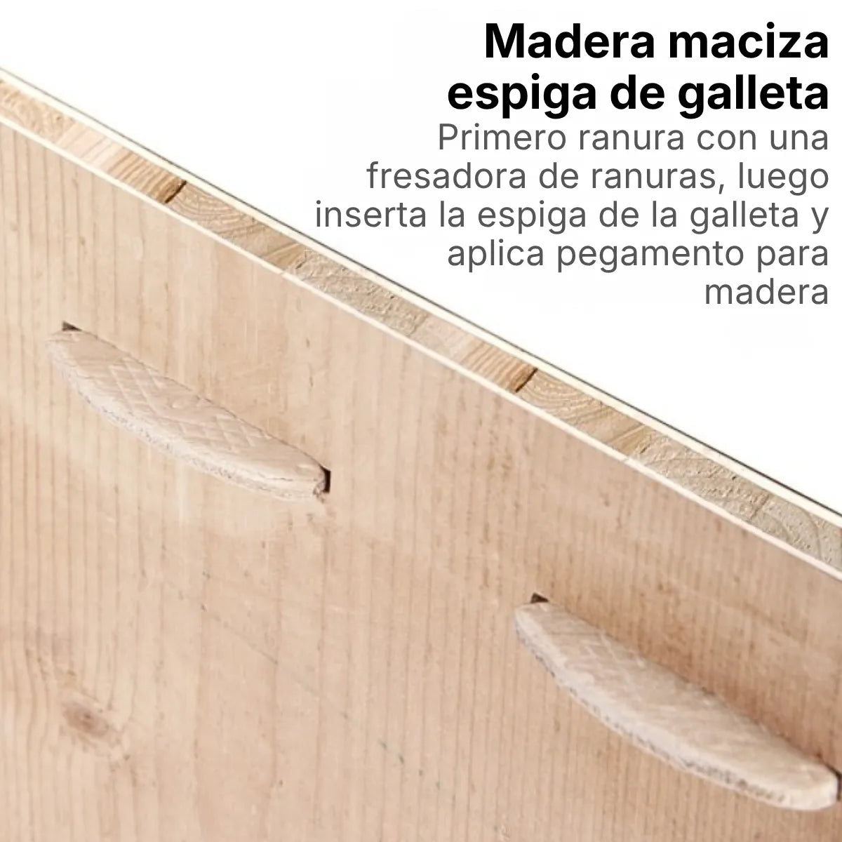 Tarugos Galleta de Madera Maciza para Ensambles Kseibi